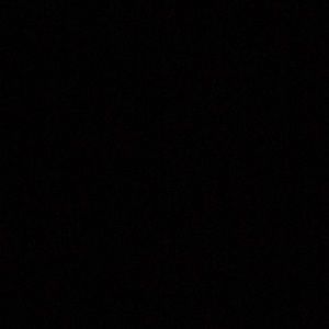 Meet your Posher, Bridget